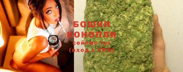 стафф Карпинск