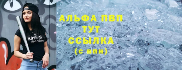 стафф Карпинск