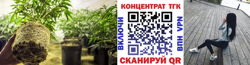 Дистиллят ТГК гашишное масло  Приозерск 